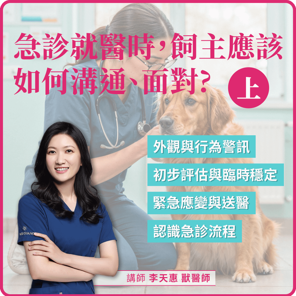 1/24(六) 10:00 急診就醫時，飼主應該如何溝通、面對（上）