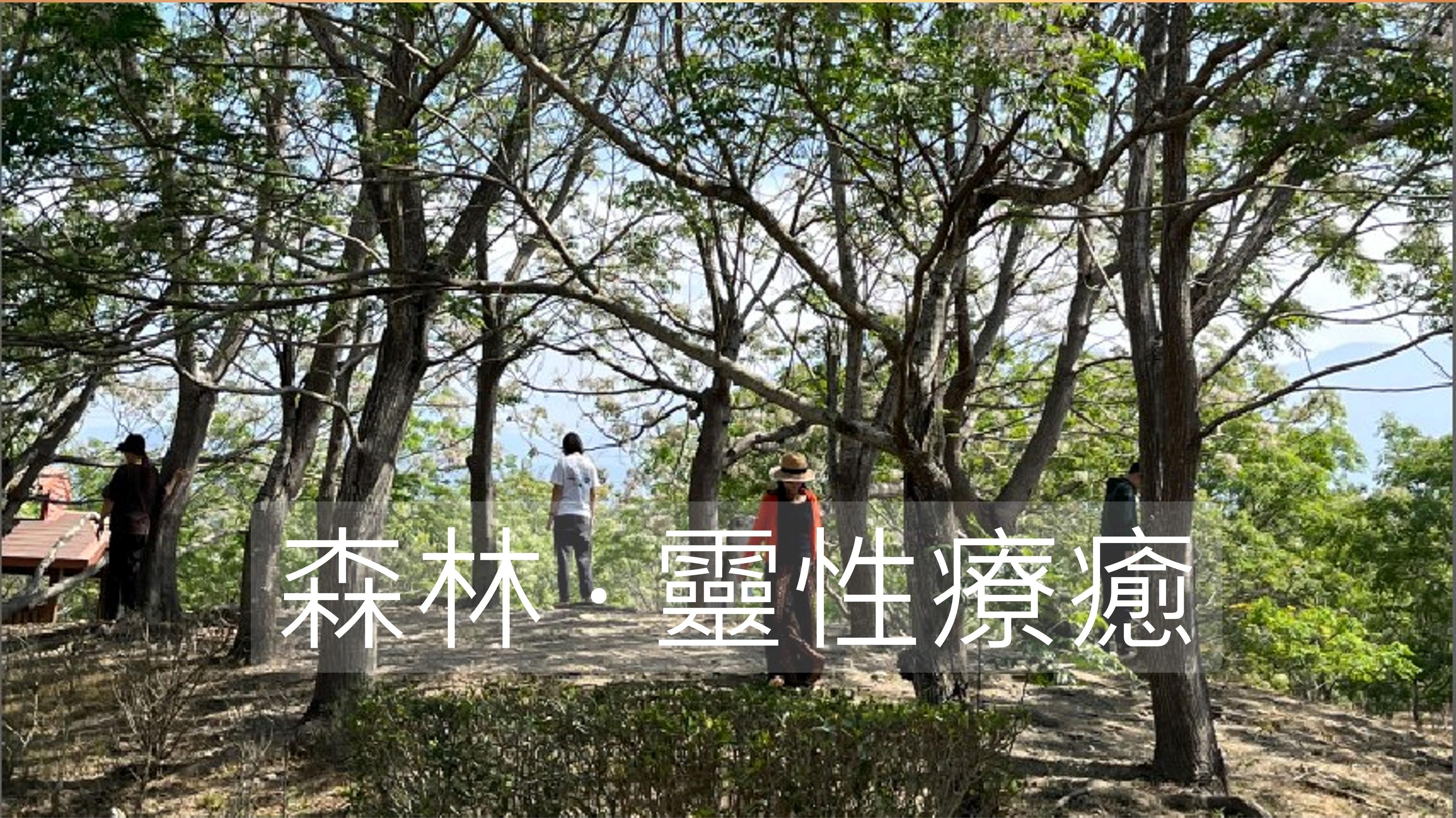 1/26 森林・靈性療癒