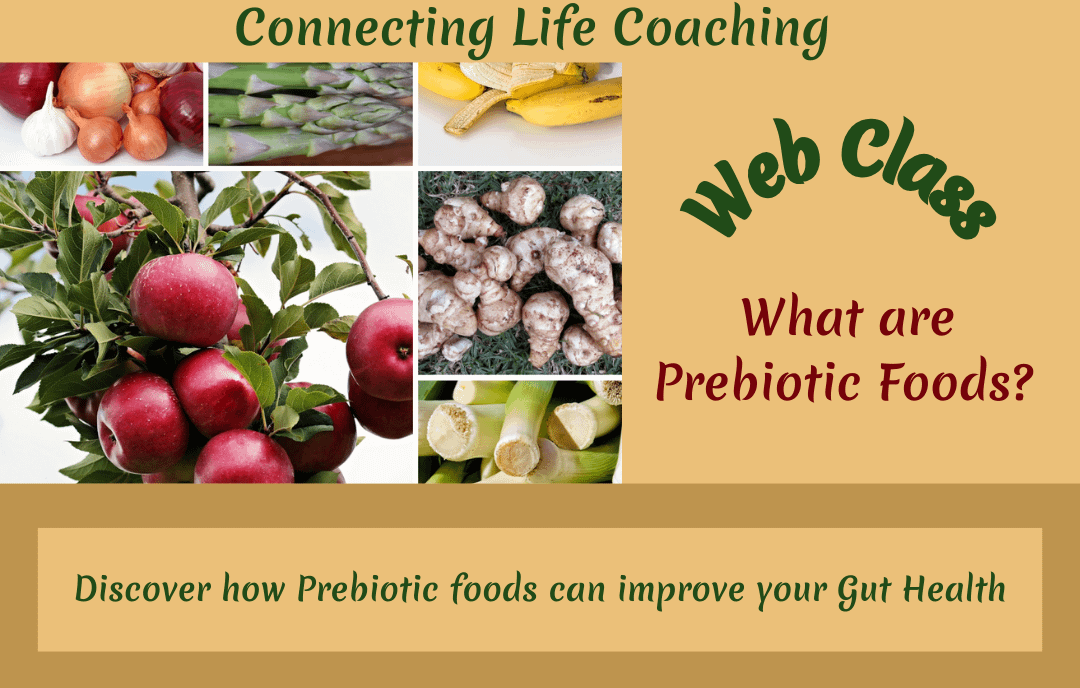 What are Prebiotic Foods? 