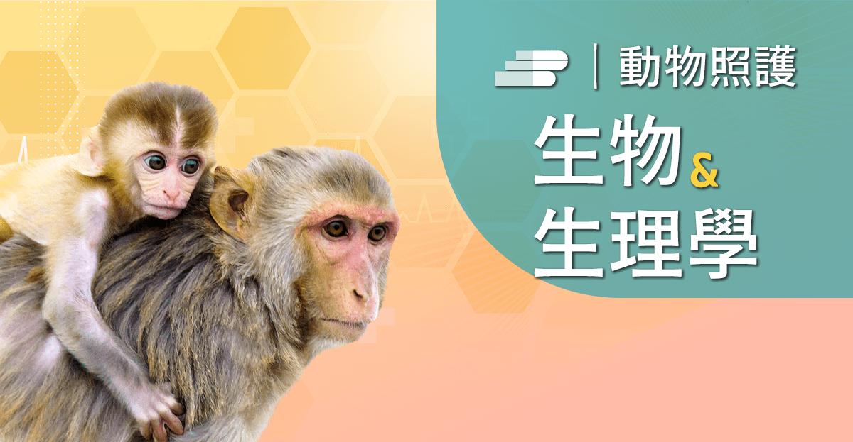 實驗獼猴照養及操作經驗分享