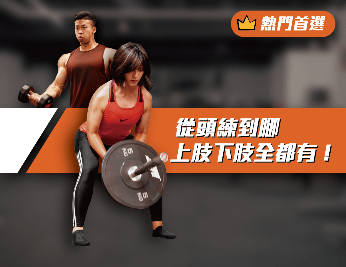 胸、背、肩、腿完整訓練動作庫