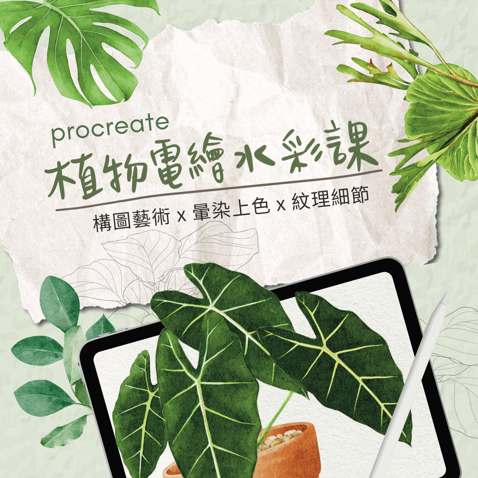 procreate植物電繪水彩課 | 構圖藝術 x 暈染上色 x 紋理細節