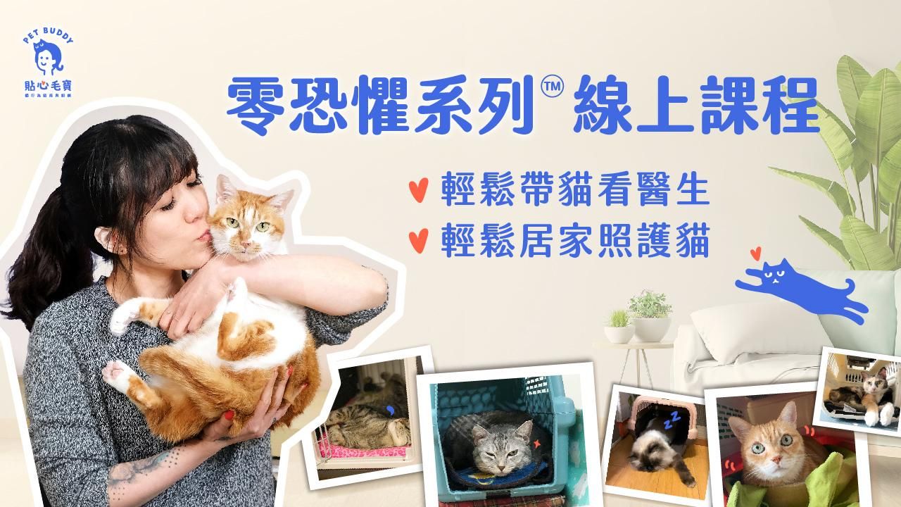 貼心毛寶｜零恐懼親訓™