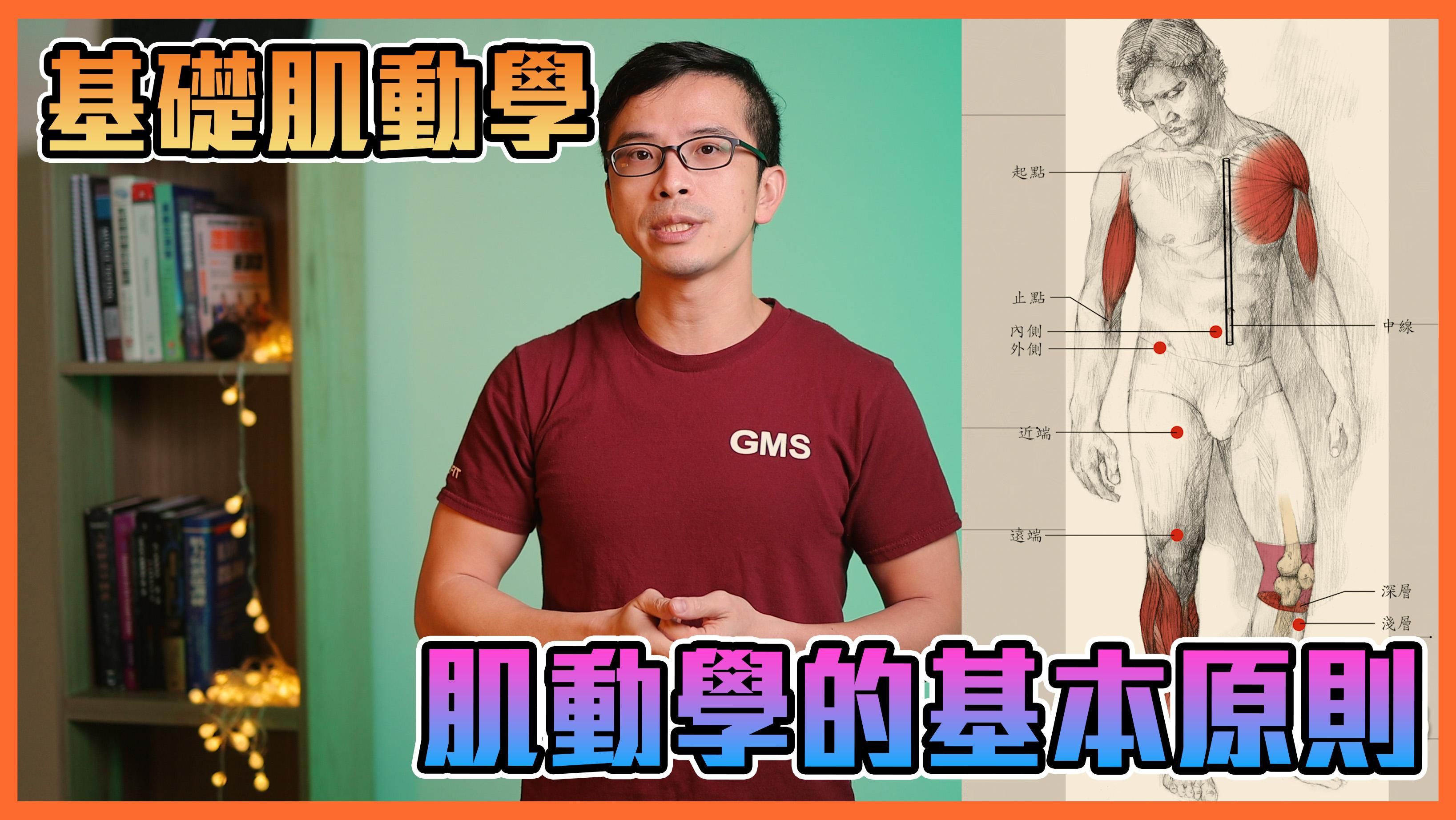 基礎肌動學線上課程 - 優惠價