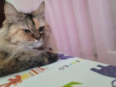 【為何等沒有人？？】初階課練習小故事分享