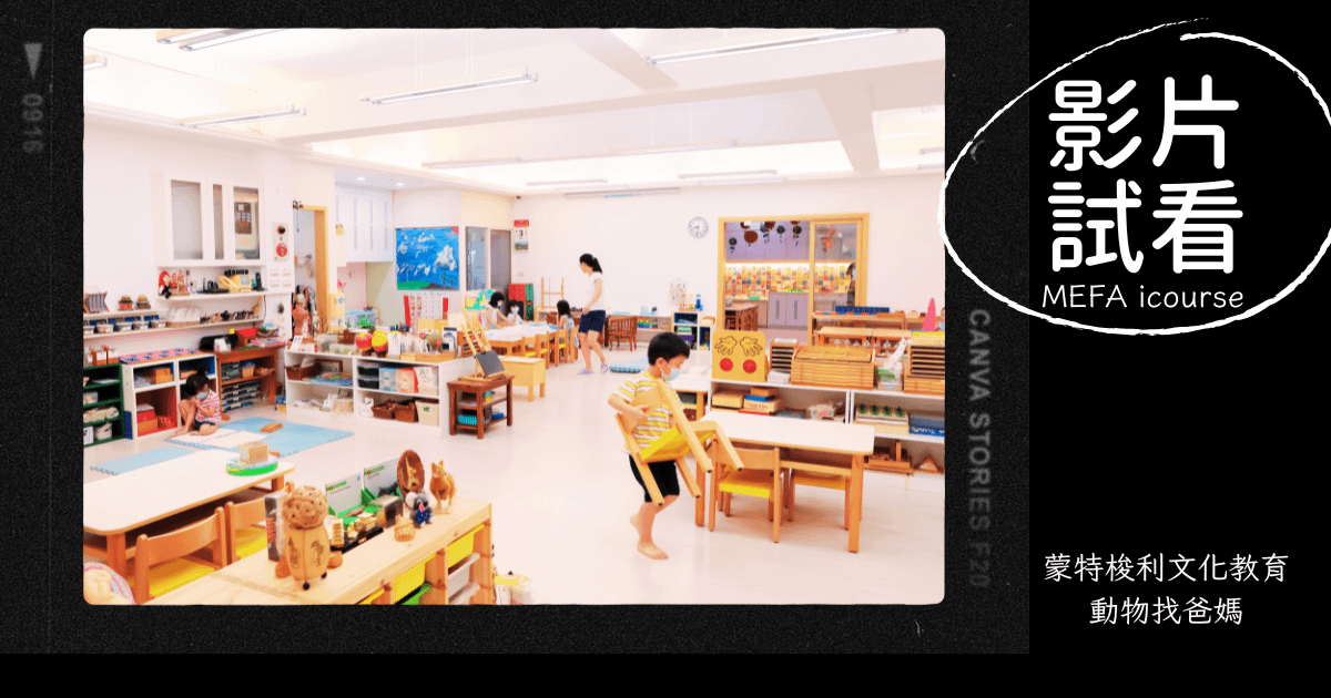 ｜試看影片｜ 文化工作