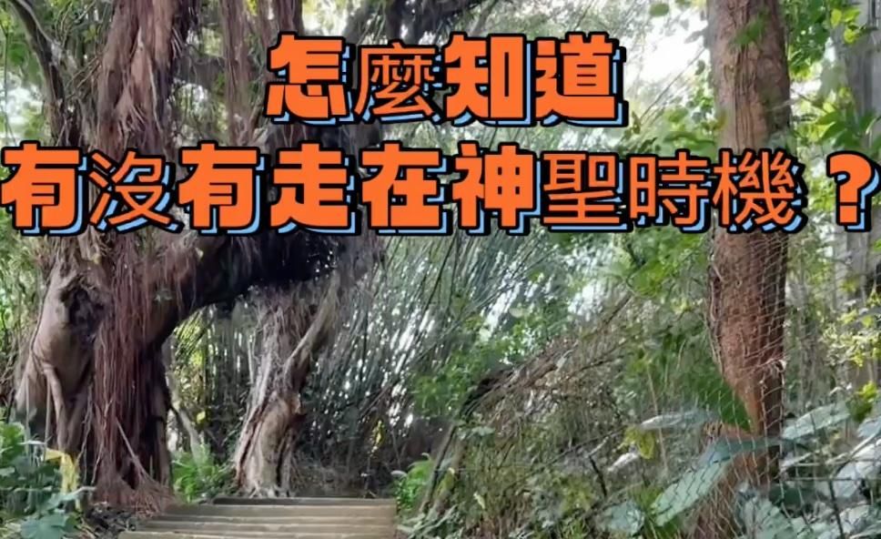 【怎麼知道有沒有走在自己的神聖時機上呢？】