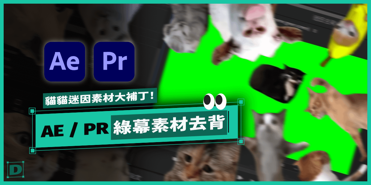 貓貓迷因！AE / PR 綠幕素材下載、剪輯及去背教學！