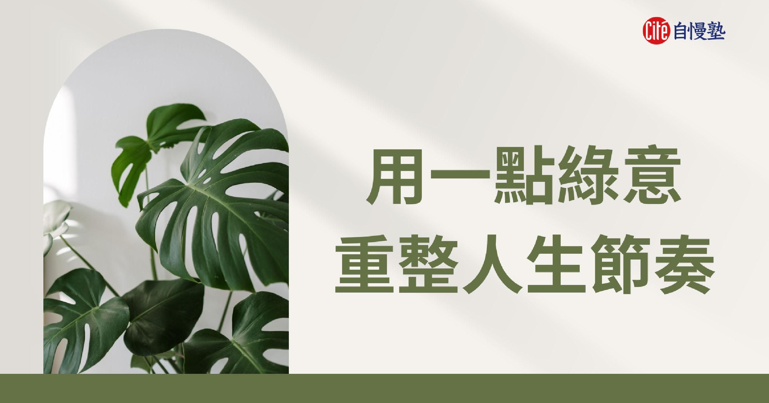 用綠意，重新整理日常