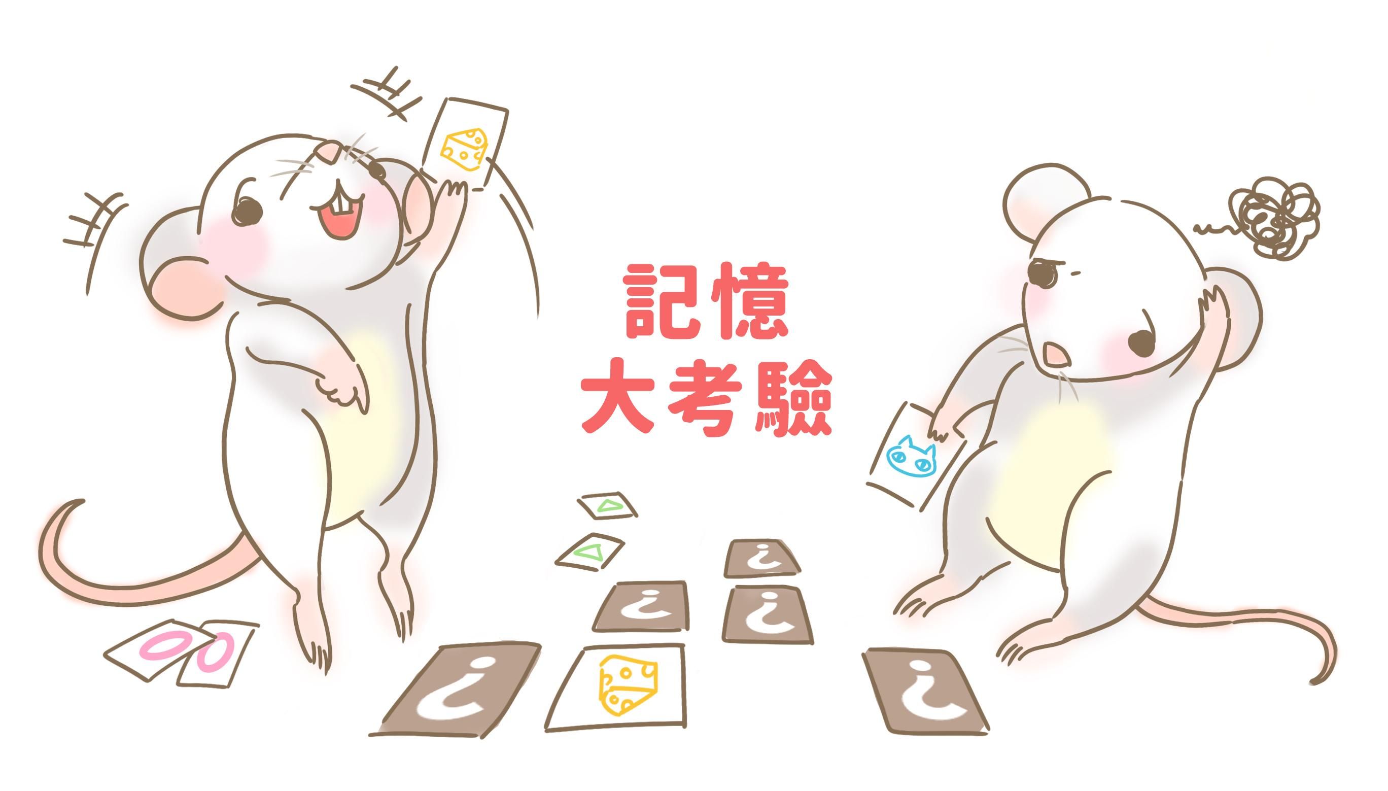 記憶大考驗—實驗鼠的水迷宮