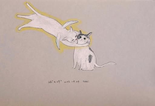 這天，我遇到了一隻緊張到手心流汗的貓咪