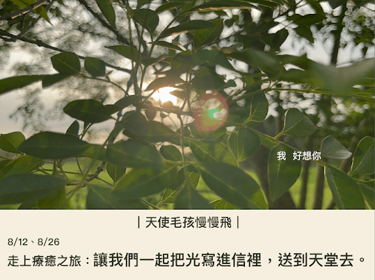 走上療癒之旅：讓我們一起把光寫進信裡，送到天堂去。