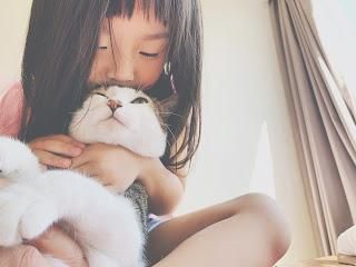 🧨星亞動物溝通新春特輯 之【如何跟毛孩增進感情又不讓毛孩起笑】