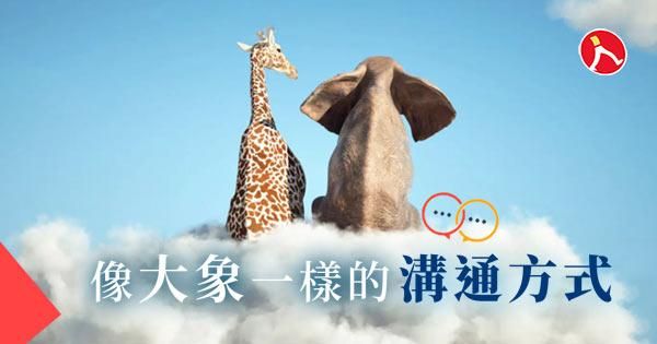 像大象一樣的溝通方式
