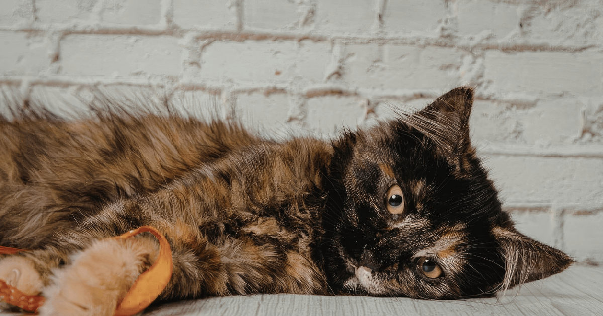 一週只接一個個案，你會害怕嗎？