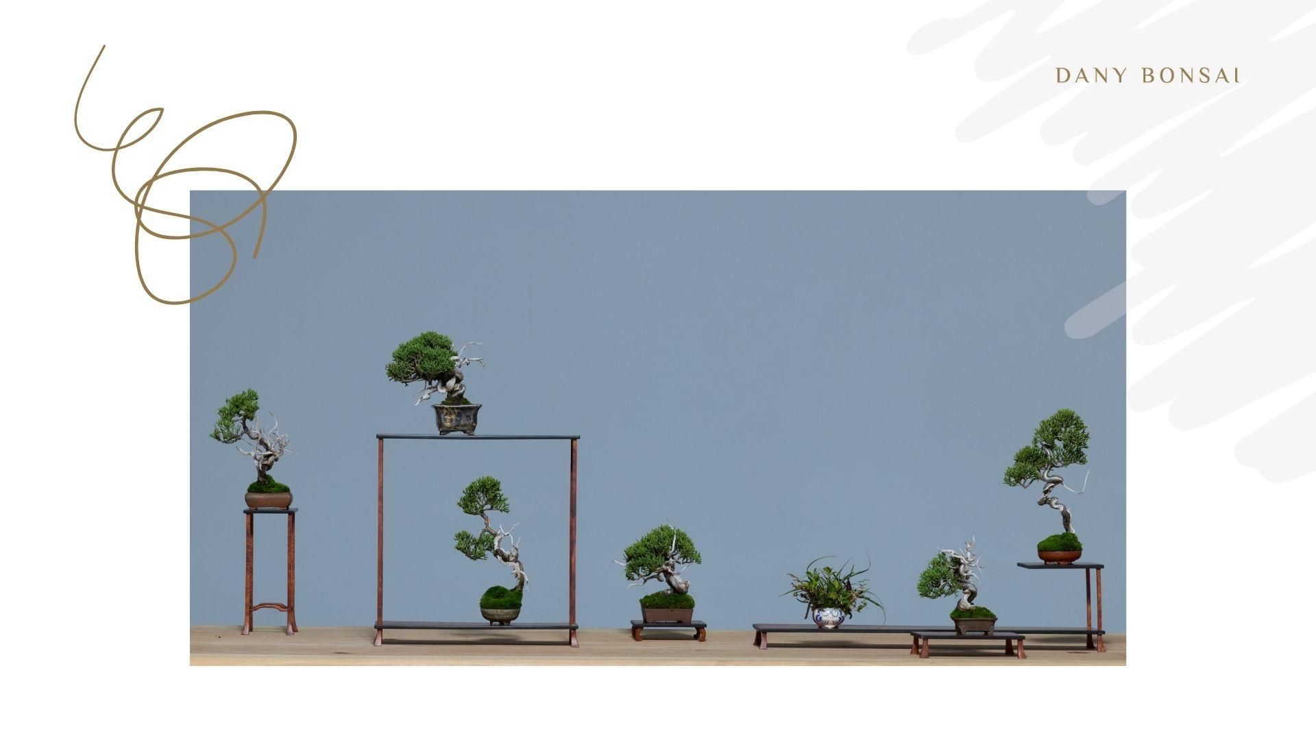 澆水沒有標準答案，只有正確判斷