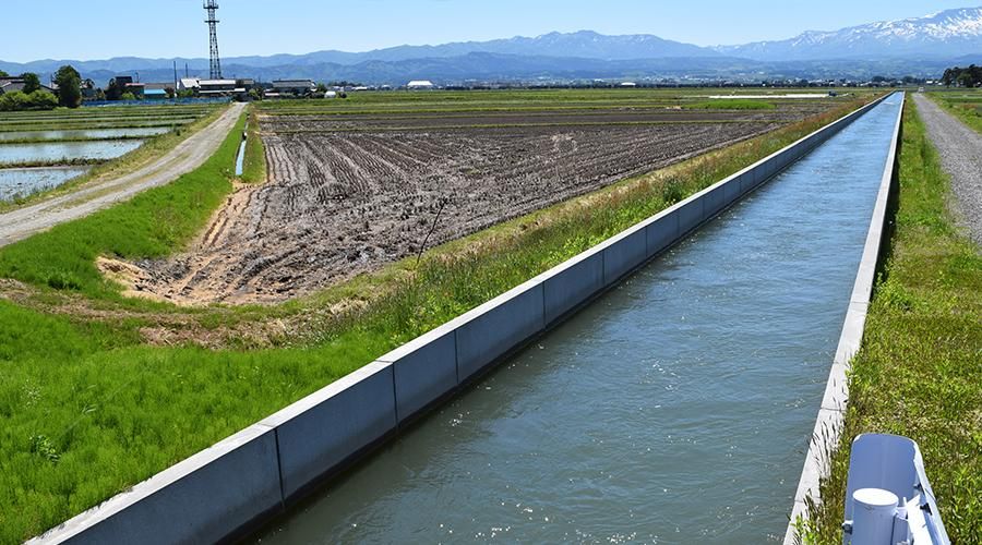 國考最好考的選擇？農田水利署招考全解析：考科少、準備快、起薪優於業界