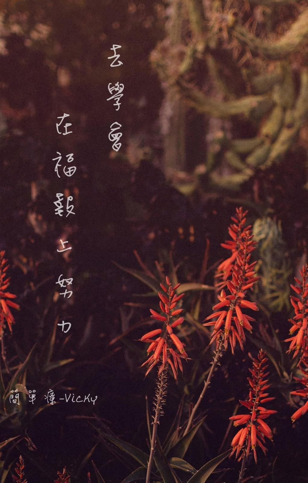 學會在福報上努力