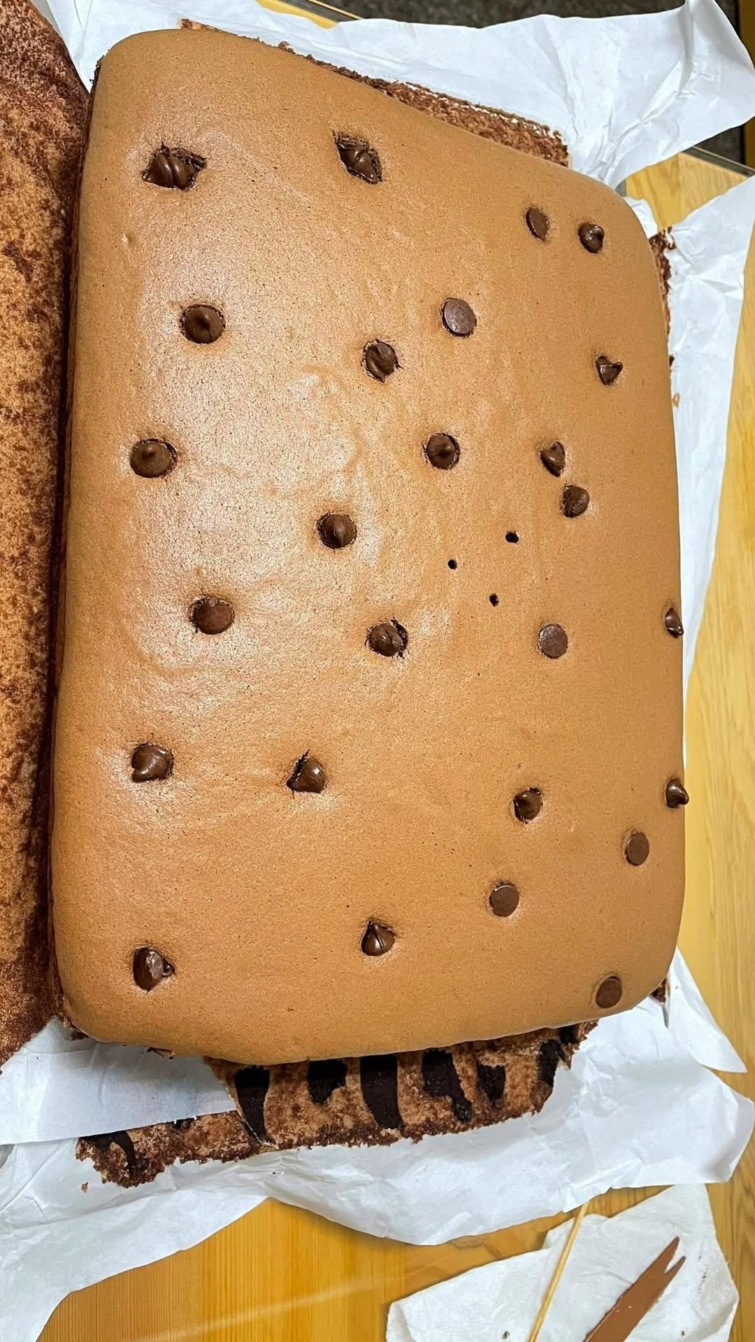 阿守老師的課程學習技巧解說很清楚