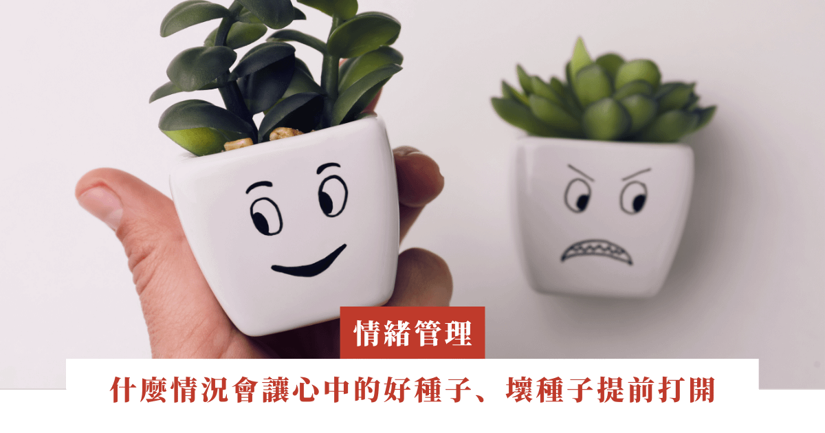 桃樹｜什麼情況會讓心中的好種子、壞種子提前打開｜ep.17