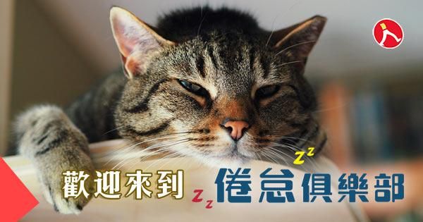 過勞世代的倦怠解方三部曲