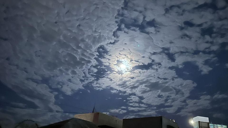 換你們牽著我們，進入你們的生活裡