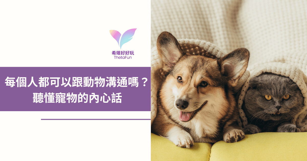 【希塔療癒】每個人都可以跟動物溝通嗎？輕鬆與你家毛小孩連結！| 寵物溝通