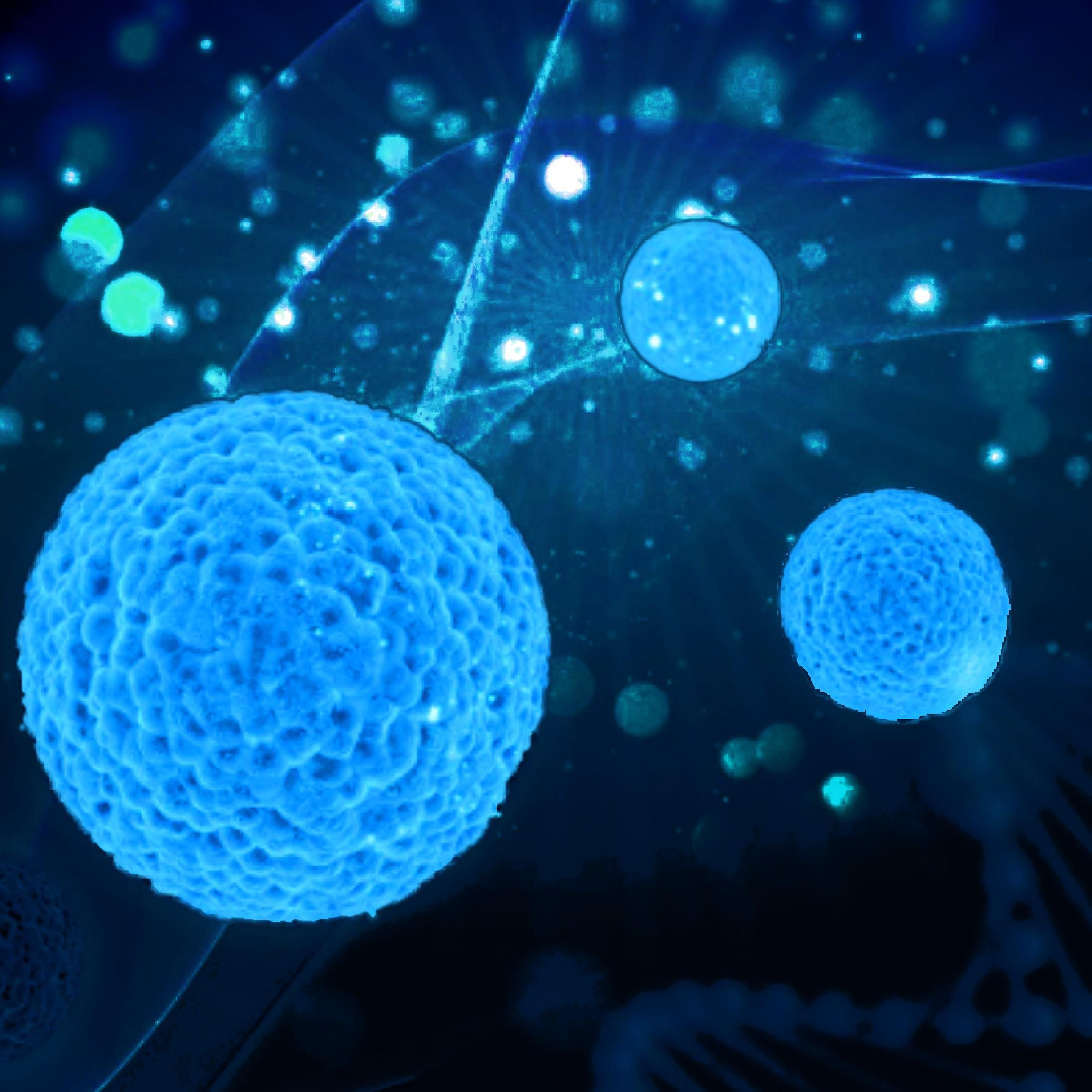 昆凌搶先儲存！iPSC風潮來襲：抓住這場醫療科技革命的黃金機遇！