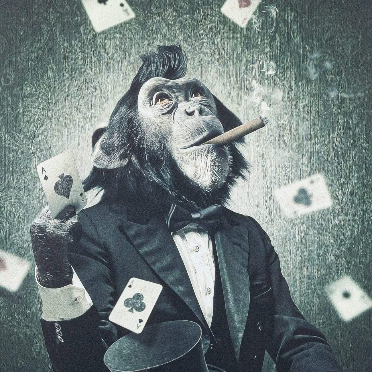 撲克猴子的一生（上）