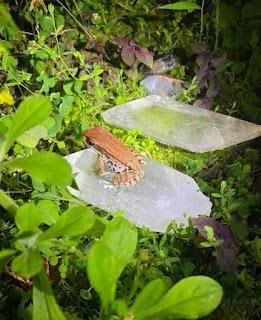 我和水晶的相遇從“暈船”開始....