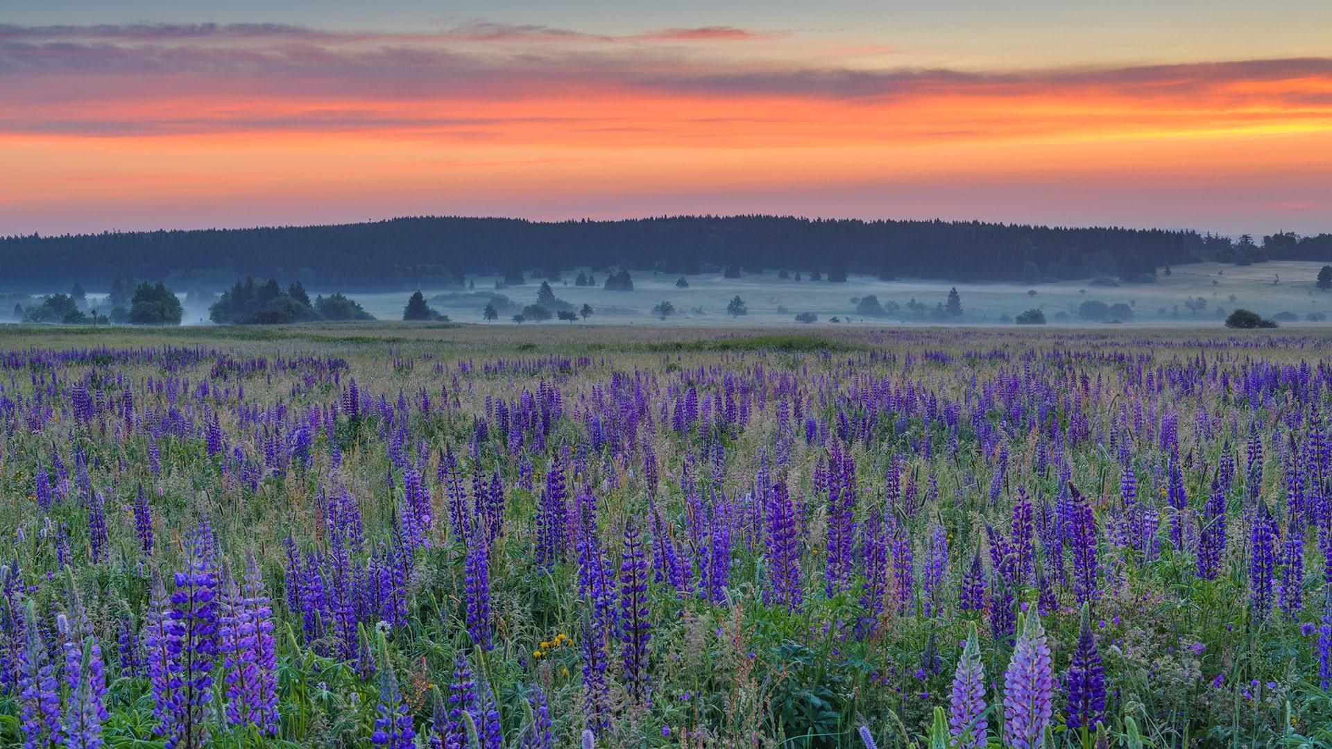 只要我是自己原本的樣子就好