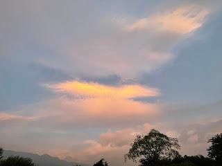 2022【天使不說再見】- 天使毛孩慢慢飛系列課程