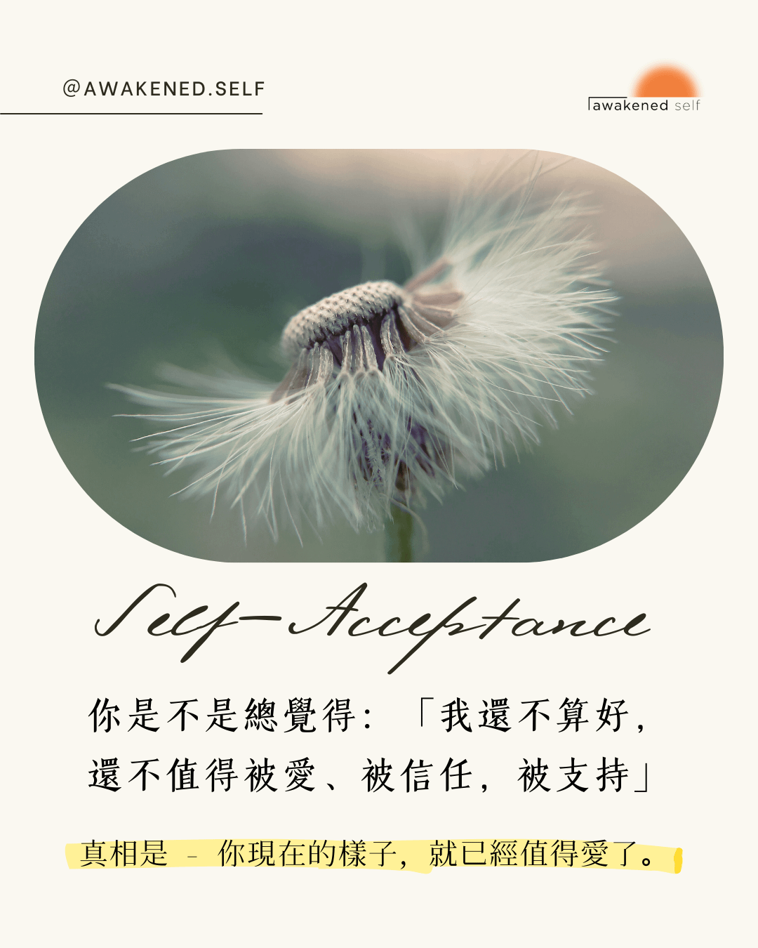 你不是不夠好，只是從小沒被教會如何好好愛自己