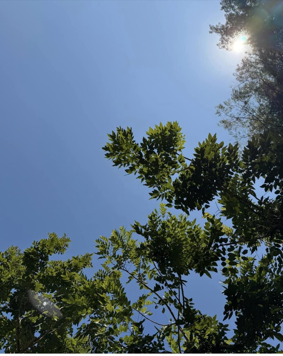 我要長大， 不用舊的定義