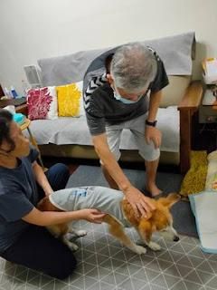 【告別身體絕對不是「睡覺」這麼簡單】