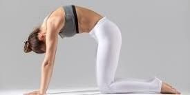 《瑜伽日常》⚜貓式_舒緩背部和肩頸痠痛＃Marjaryasana-Bitilasana ＃Cat Pose