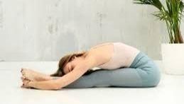 《瑜伽日常》⚜冥想瑜伽_前彎式_Uttanasana _Forward Bend/Fold 緩解腰背疼痛