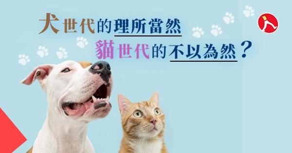【職場動物園】貓犬世代的管理精髓