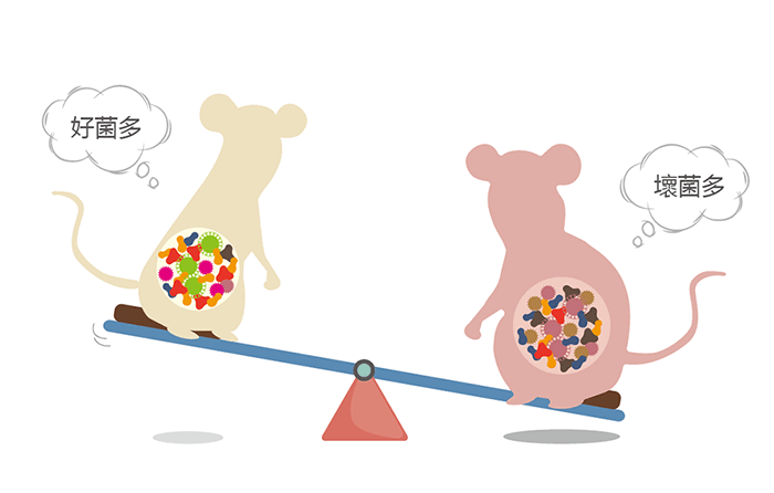 減肥的朋友們，試試瘦子的便便吧！