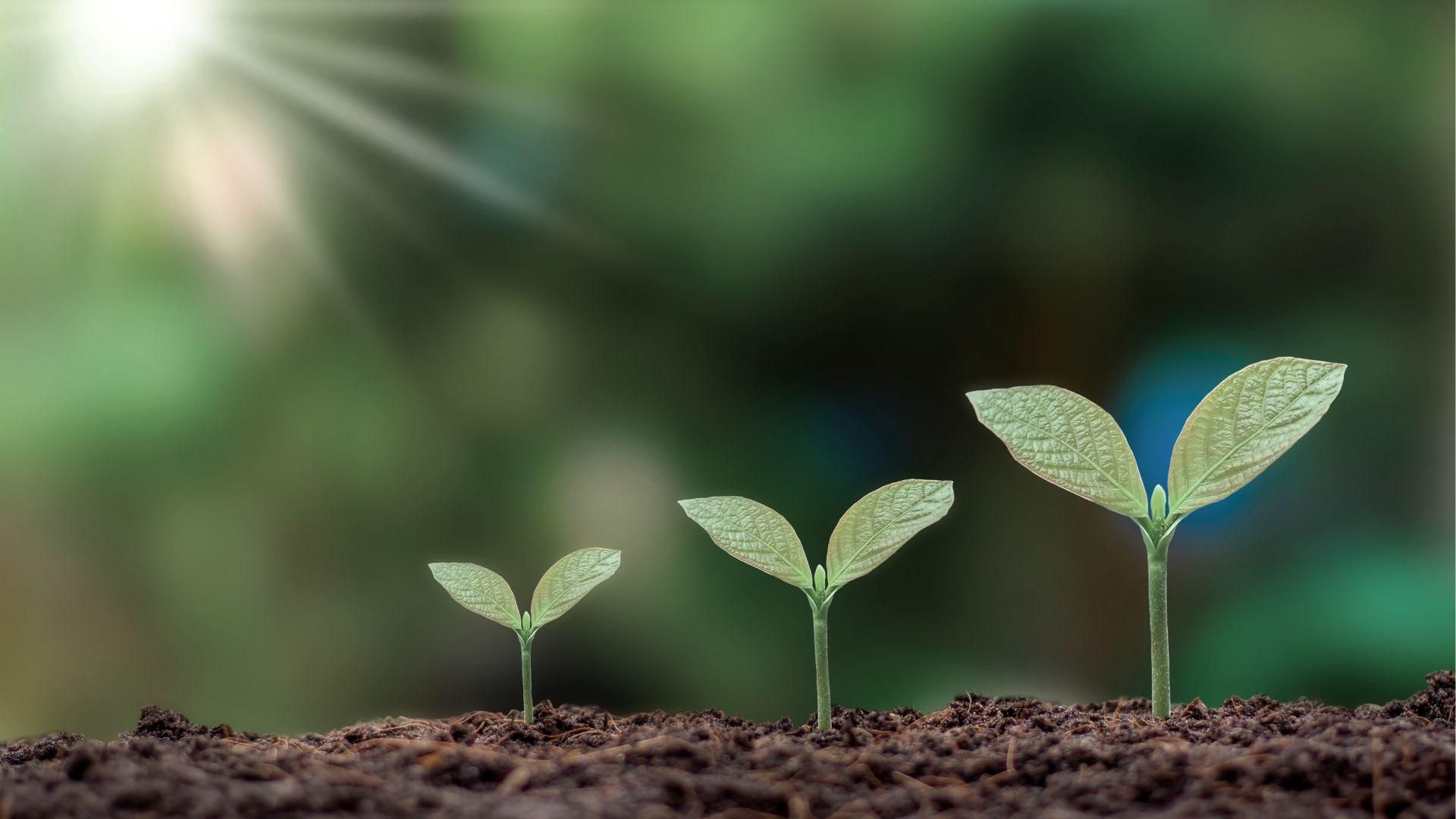 需求訪談的三個階段性