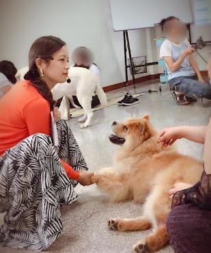 溝通之前，請允許我們有更多的交流