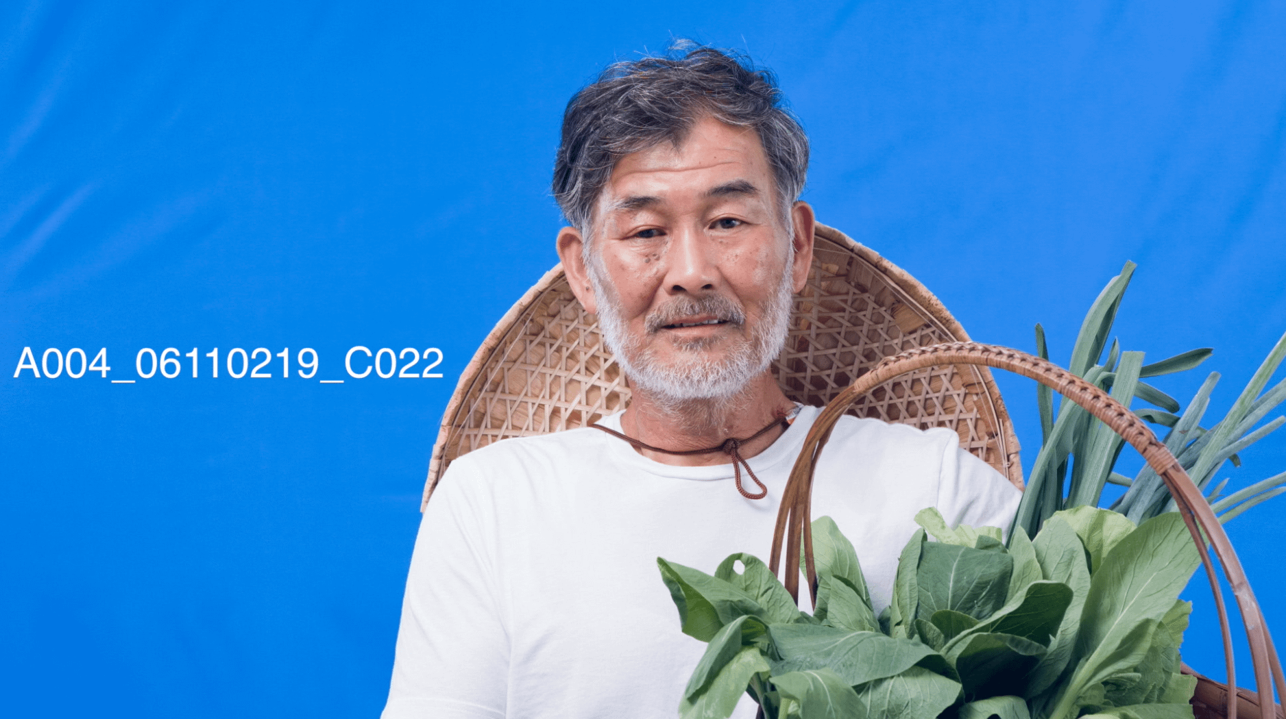 綠幕第一章｜是時候搞懂為何要拍藍綠幕了