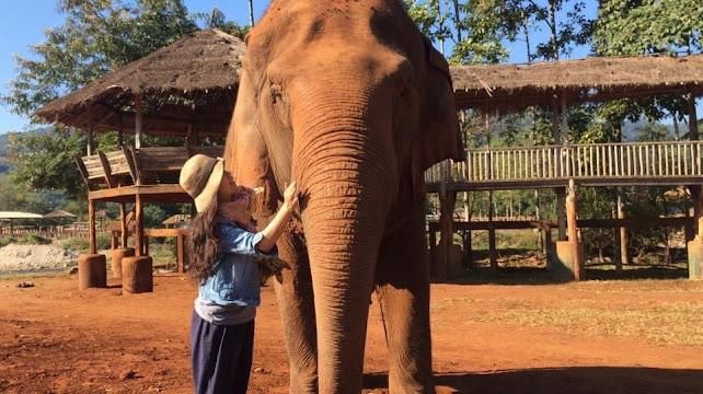 【動物溝通入門】學習動物溝通，是一條認識自己的道路