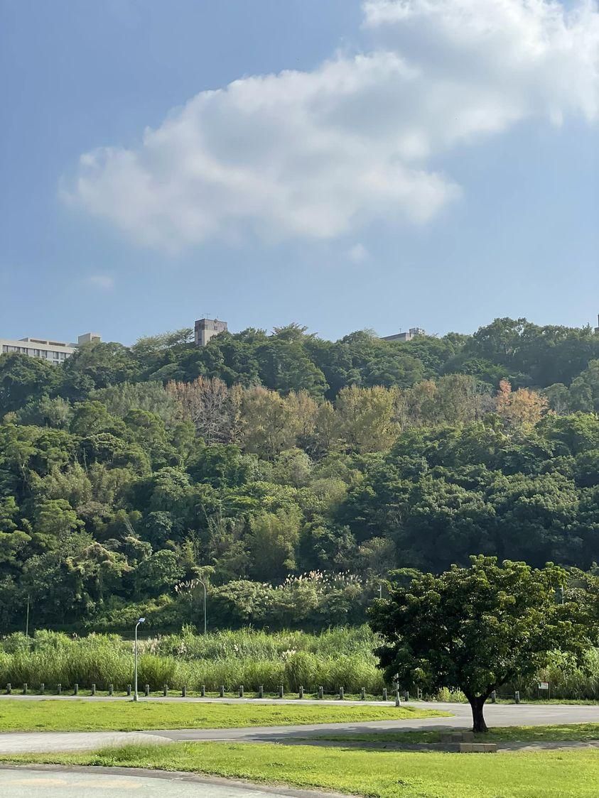 我現在可以說，我很快樂呀