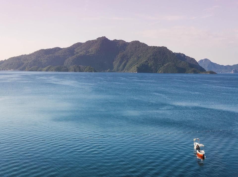 《Q&A》如何面對與克服逆境？