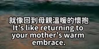 𝄞療癒音樂《 心孕育 》《 Incubation》