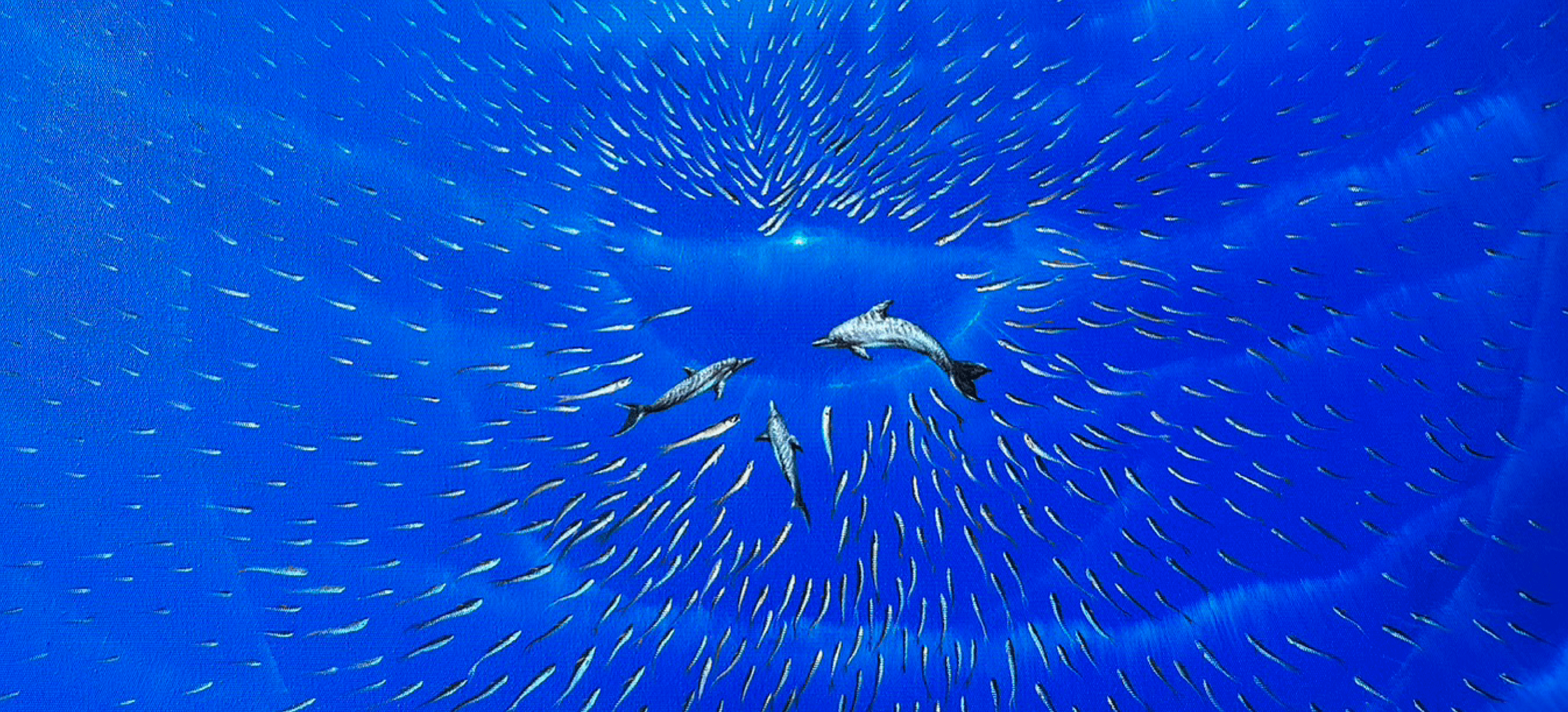 b212b91c-12f7-4eb3-94dd-e1944804a550