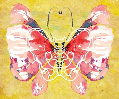 Sofia Somatics 身心學聚落
