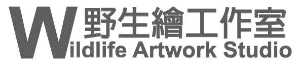 野生繪工作室