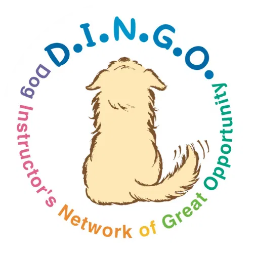D.I.N.G.O.TAIWAN